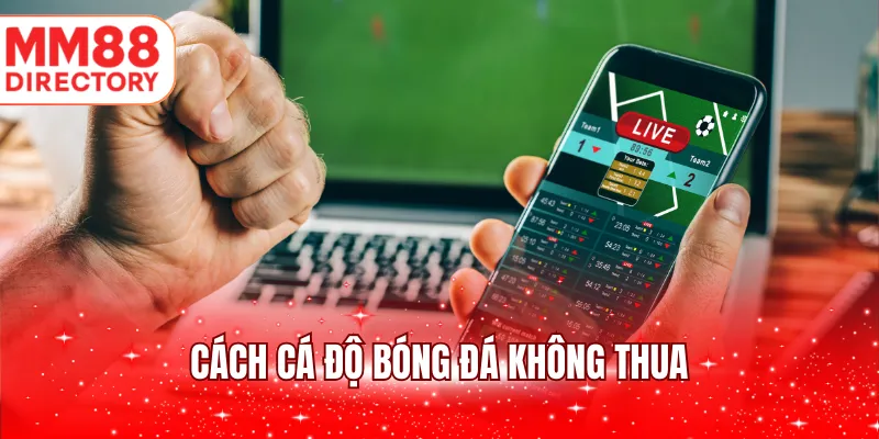 Cách cá độ bóng đá không thua
