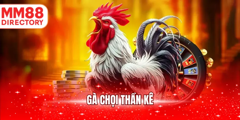 Gà chọi thần kê