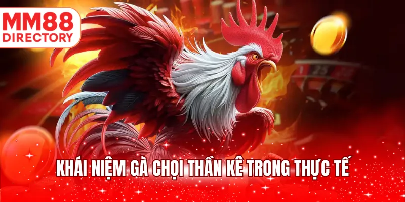 Khái niệm gà chọi thần kê trong thực tế
