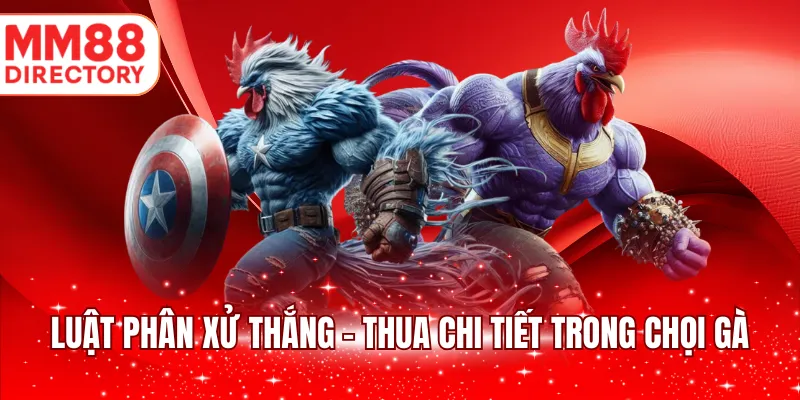Luật phân xử thắng - thua chi tiết trong chọi gà
