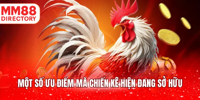 Một số ưu điểm mà chiến kê hiện đang sở hữu