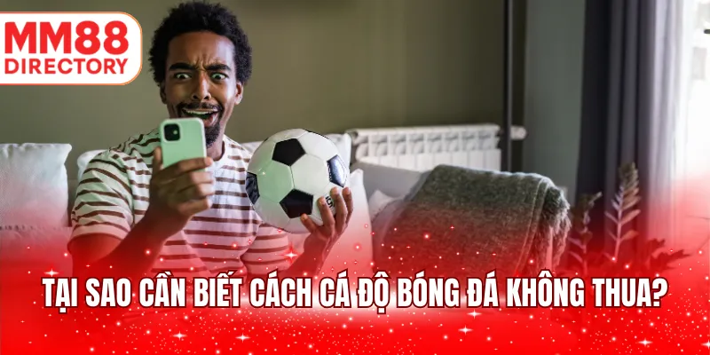 Tại sao cần biết cách cá độ bóng đá không thua?