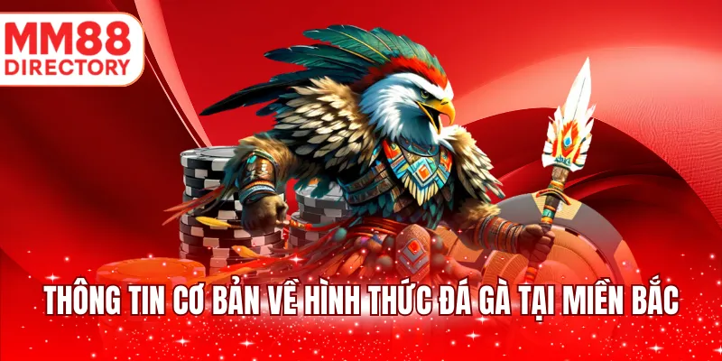 Thông tin cơ bản về hình thức đá gà tại miền Bắc